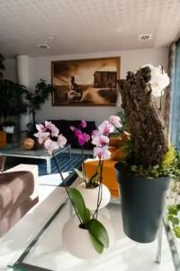 Ristorante I Castelli