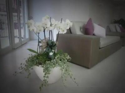 Alma di Alghero - 16