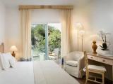 Classic Double room with mountain view