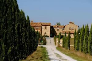 Borgo Beccanella, Asciano