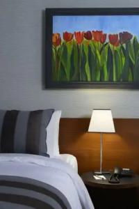 Modus Istanbul - 37