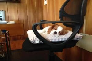 Residence Beatrix Apart-hotel