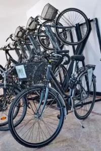 Palace San Pietro - 35