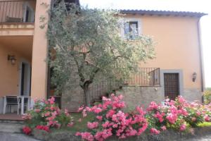 Farm Stay «Il Poggio degli Olivi», Bettona