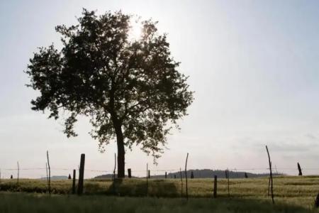 Palazzo Brunamonti - 5