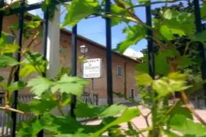 Albergo Al Pescatore Mini-hotel, Brenzone