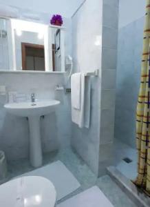 Residence Nemo - 123