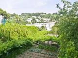 Standard Single room with garden view
