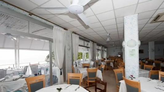 Weber Ambassador - 20