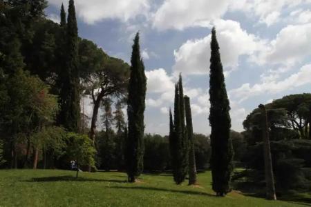 Europa Art Caserta - 28