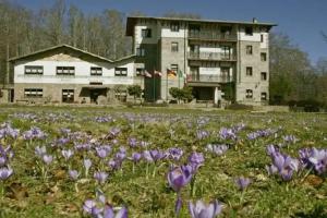 Albergo Le Macinaie - Monte Amiata, Castel del Piano