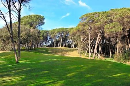 Resort Marina di Castello Golf & Spa - 77