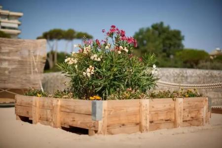 Saraceno Resort - 35