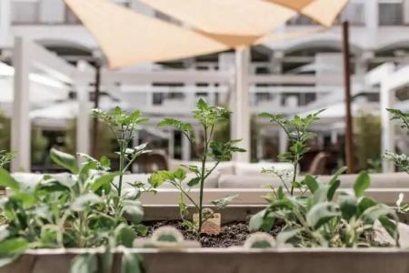 Saraceno Resort - 45