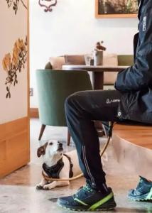 Faloria Mountain Spa Resort - 23