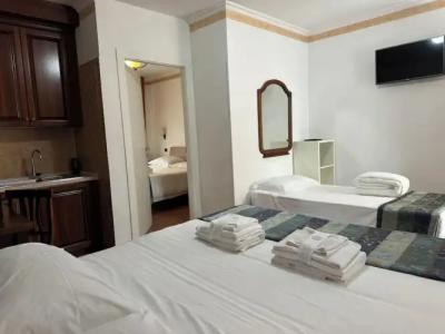 Euro House Inn Airport - 201