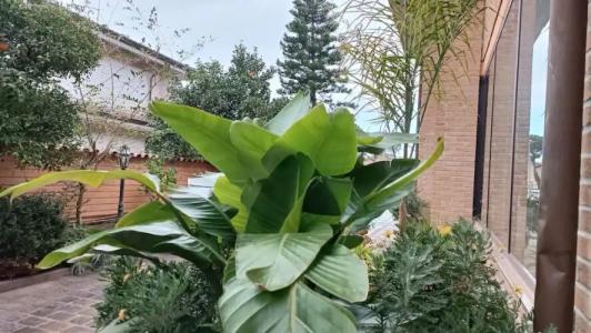 Euro House Inn Airport - 127