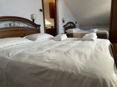 Euro House Inn Airport - 103