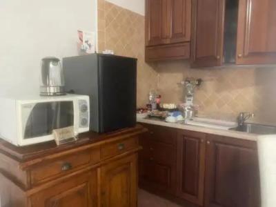 Euro House Inn Airport - 132