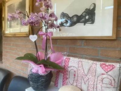 Euro House Inn Airport - 133