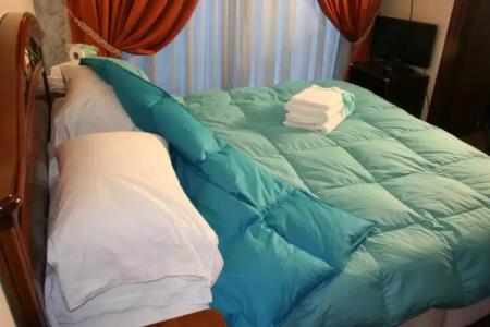 Euro House Inn Airport - 145