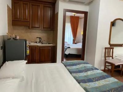 Euro House Inn Airport - 170