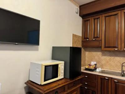 Euro House Inn Airport - 194