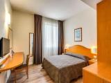 Economy Double Attic room