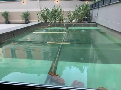 Leonardo da Vinci - 16