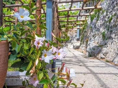 Albergo Diffuso Bacco Furore - 37