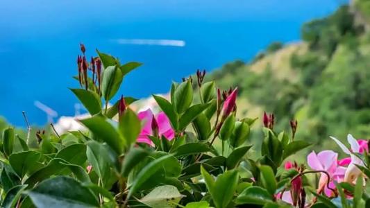 Albergo Diffuso Bacco Furore - 51