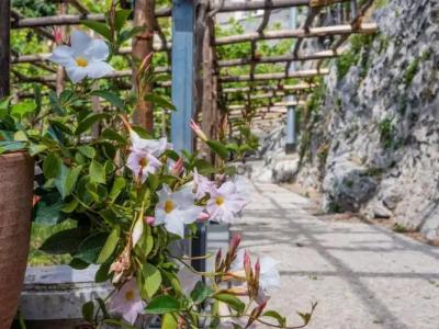 Albergo Diffuso Bacco Furore - 70