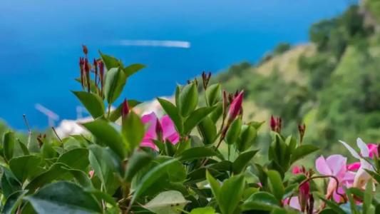 Albergo Diffuso Bacco Furore - 81