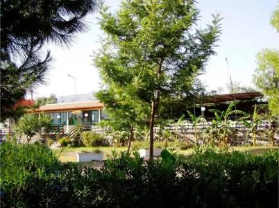 Villaggio Alkantara - 16