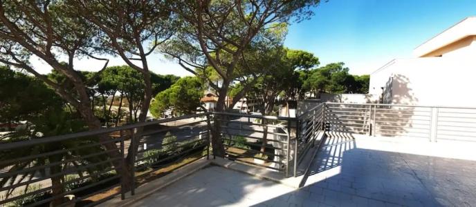 Terme Marine Leopoldo II TERME & SPA - 83