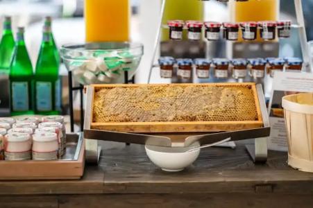 Bellevue & Resort - 11