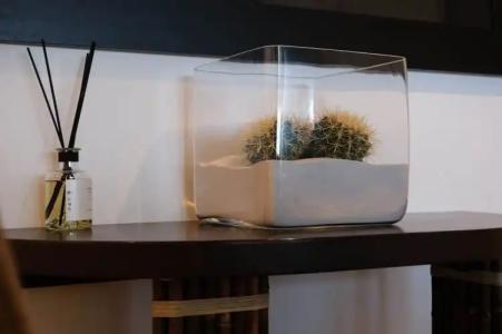 Bellevue & Resort - 177