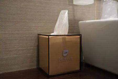 Bellevue & Resort - 90