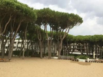 Bellevue & Resort - 25