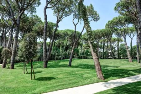 Bellevue & Resort - 30