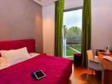 Standard Disabled Double room