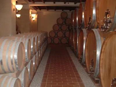 Agriturismo Baglio Donnafranca Wine Resort - 2