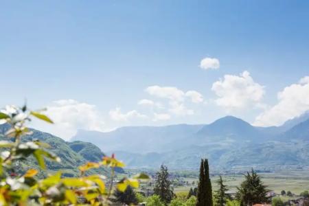 Pienzenau Am Schlosspark - 16