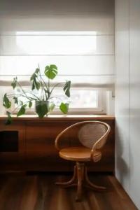 Europa Splendid - 15