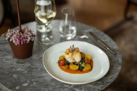 Europa Splendid - 13