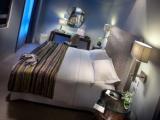 Executive with wellness Hypoallergenic Double Suite Room