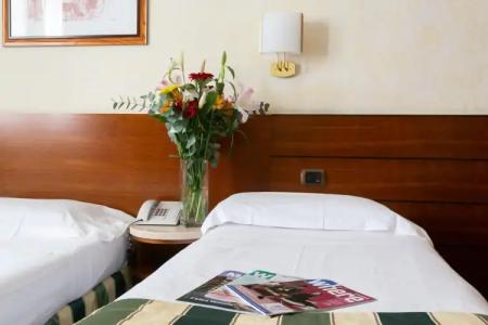Mirage Sure Collection by Best Western - 10