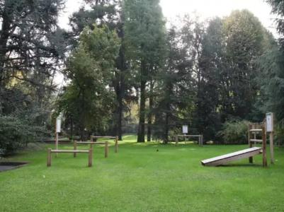 Tiziano - Gruppo Mini - 25