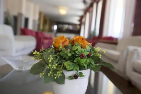 Brora Family Village - 2