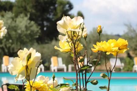 Panoramic Montepulciano - 32